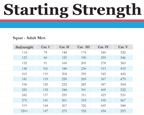 How Much Should I Be Able To Squat Barbell Squat Standards Garage Gym Revisited